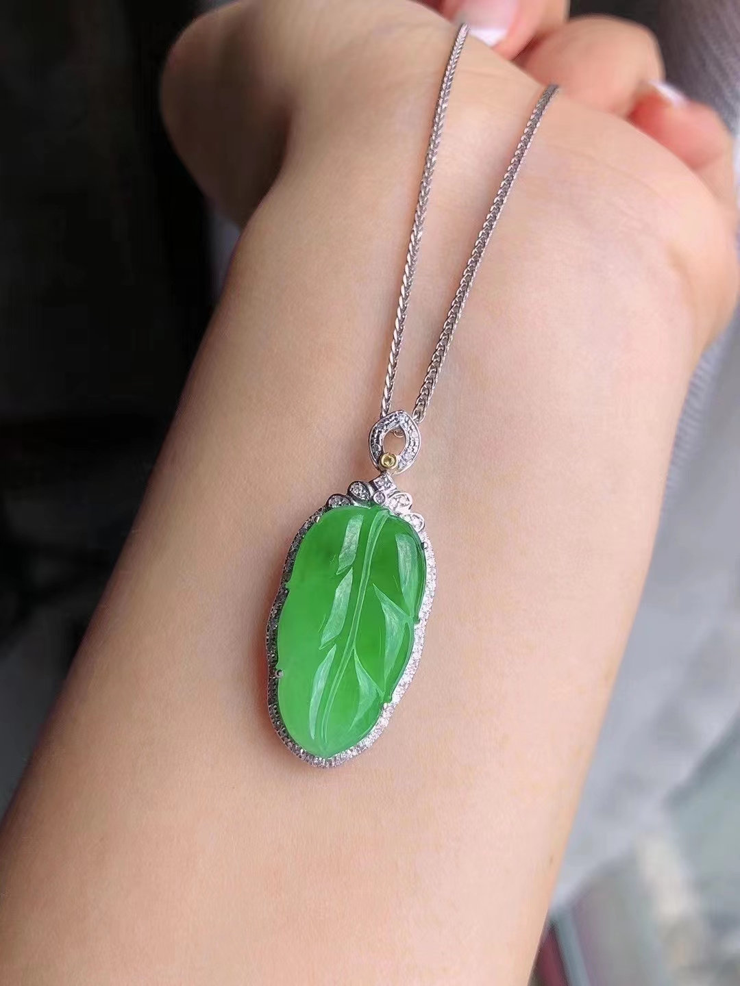 翡翠叶子的知识